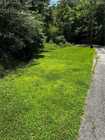 1198 Caney Branch Road, Chapmanville, WV 25508