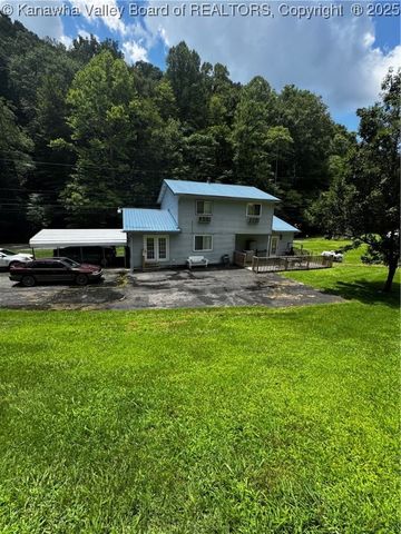1198 Caney Branch Road, Chapmanville, WV 25508