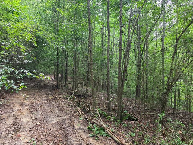 2031 Mcdade Road, Hephzibah, GA 30815