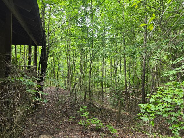 2031 Mcdade Road, Hephzibah, GA 30815