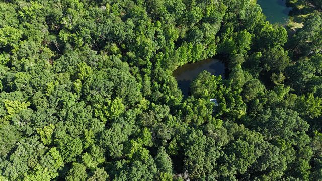 2031 Mcdade Road, Hephzibah, GA 30815