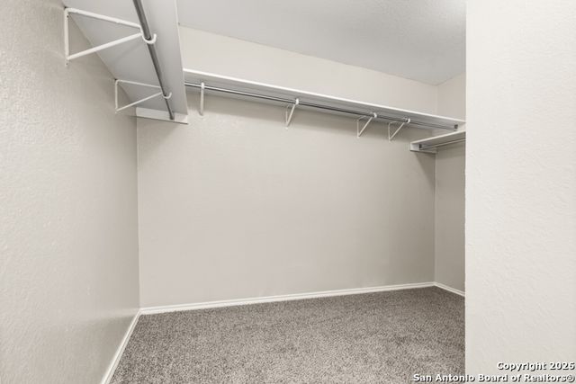 14402 Longleaf Palm, San Antonio, TX 78233