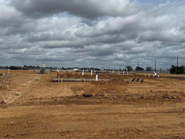 29006 Fig Vine Drive, Waller, TX 77484