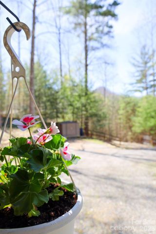 307 Dancing Leaf Lane, Bakersville, NC 28705