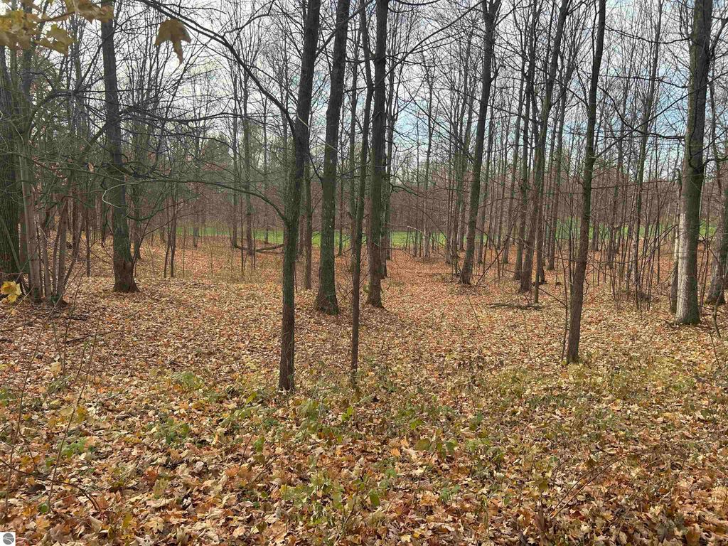 Image 1 of property listing at Lot 7 White Tail Drive, Bellaire, MI 49615