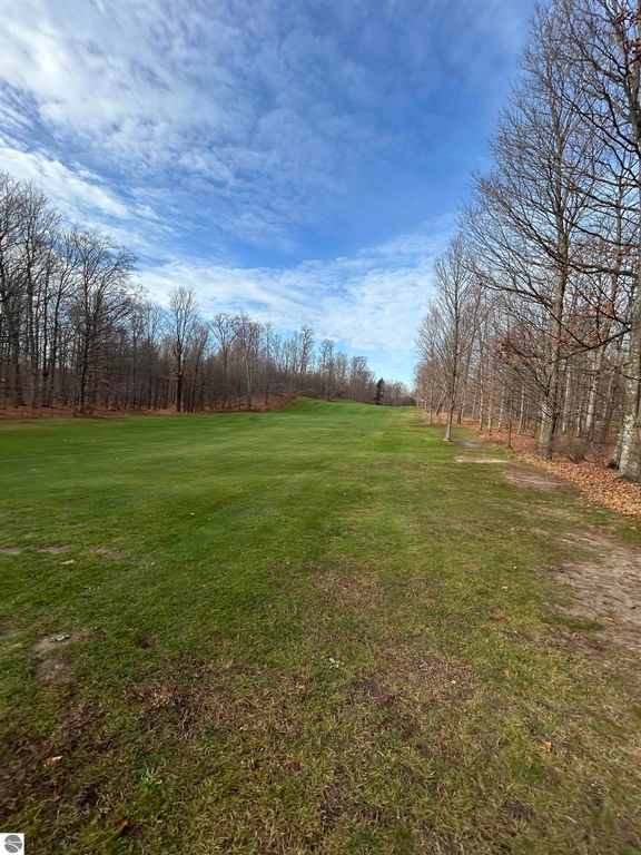 Image 2 of property listing at Lot 7 White Tail Drive, Bellaire, MI 49615