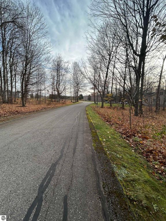 Image 5 of property listing at Lot 7 White Tail Drive, Bellaire, MI 49615