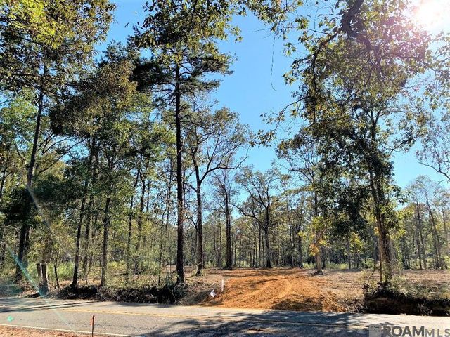 1A La Hwy 63, Clinton, LA 70722