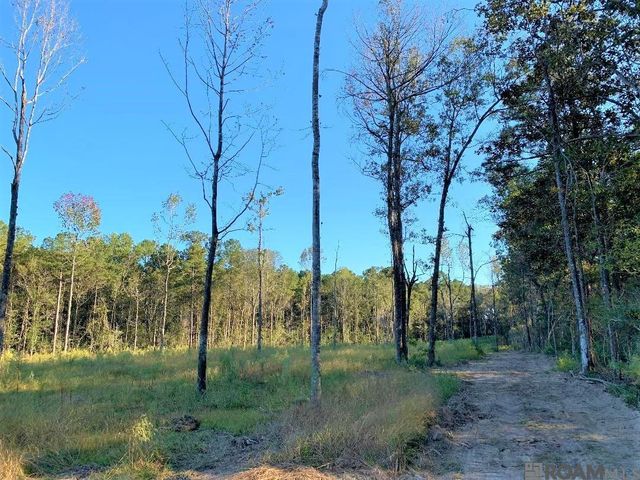 1A La Hwy 63, Clinton, LA 70722