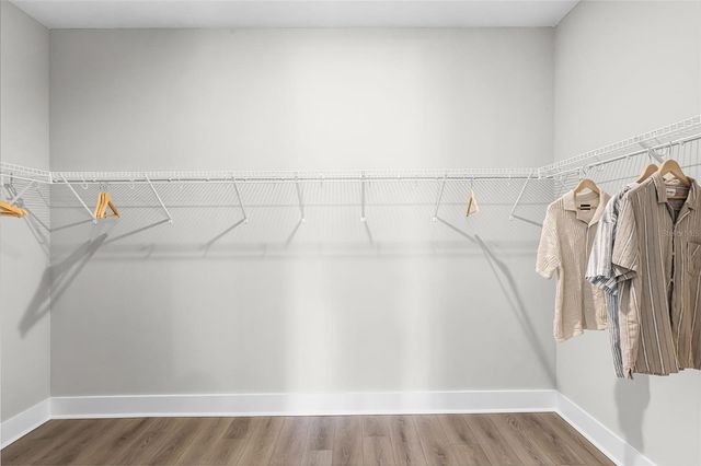 687 EMERALD GROVE DRIVE, Apopka, FL 32703