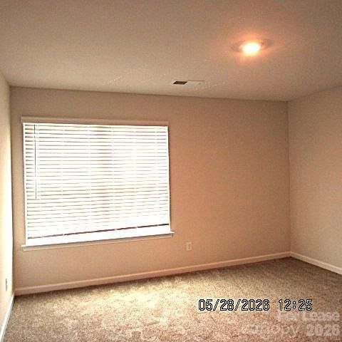 16111 Trenton Green Lane, Charlotte, NC 28273