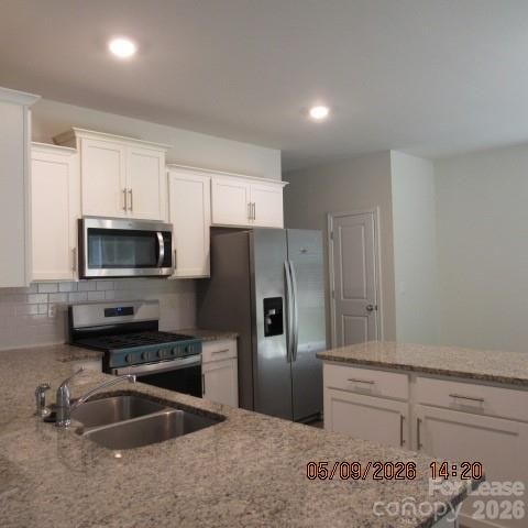 16111 Trenton Green Lane, Charlotte, NC 28273