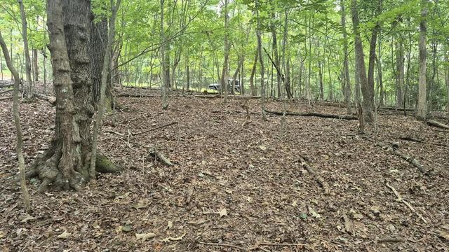.57 Ac. Villa Drive, Ellijay, GA 30540