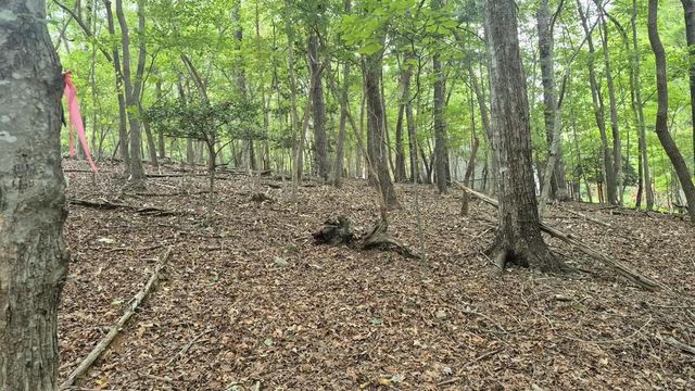 .57 Ac. Villa Drive, Ellijay, GA 30540