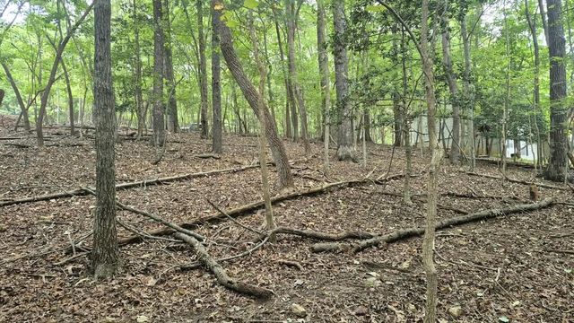 .57 Ac. Villa Drive, Ellijay, GA 30540