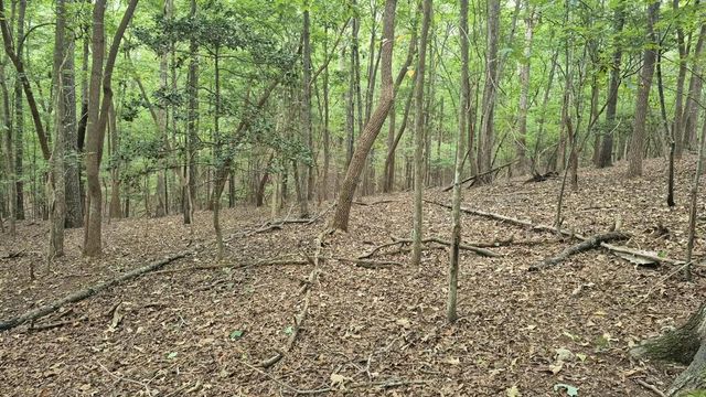 .57 Ac. Villa Drive, Ellijay, GA 30540