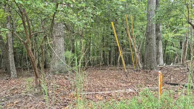 .57 Ac. Villa Drive, Ellijay, GA 30540