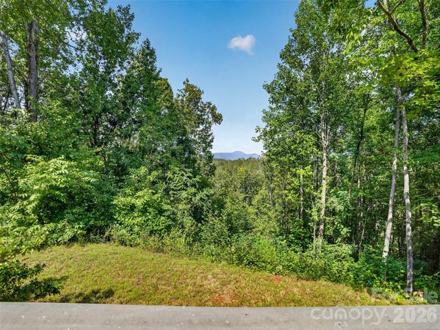 484 Briar Patch Lane, Saluda, NC 28773