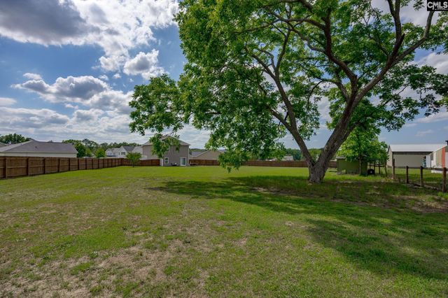 307 Bush Clover Way, Leesville, SC 29070