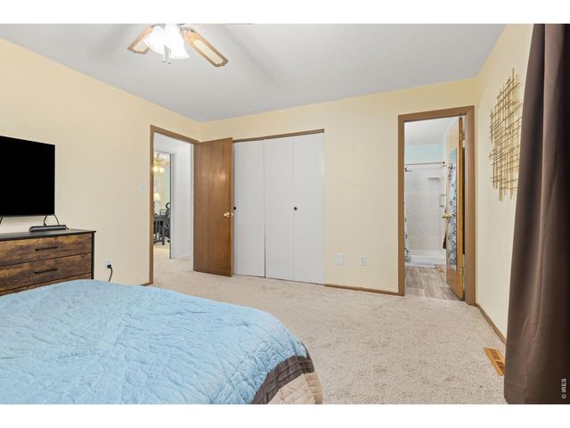 3351 Apple Ave, Loveland, CO 80538