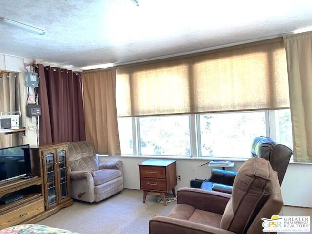 52670 4s02 N Nf-4s02, Idyllwild, CA 92549