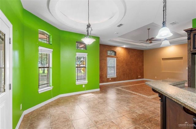 1315 Coy Drive, Alamo, TX 78516