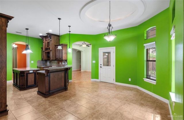 1315 Coy Drive, Alamo, TX 78516