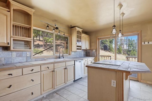 8367 S Warhawk Way, Conifer, CO 80433