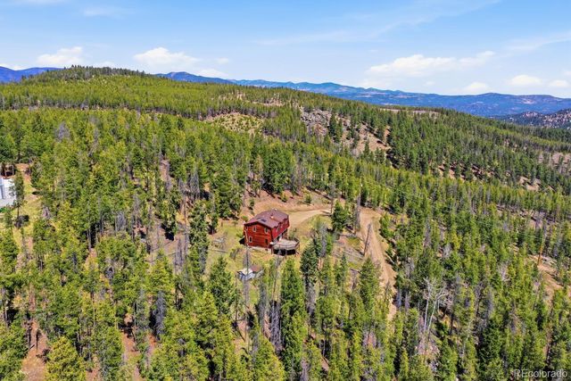 8367 S Warhawk Way, Conifer, CO 80433