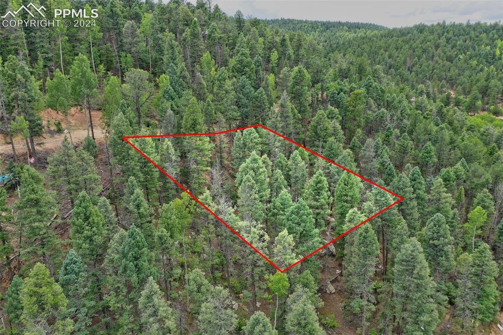 251 Osoeola Road, Woodland Park, CO 80863 — photo 2