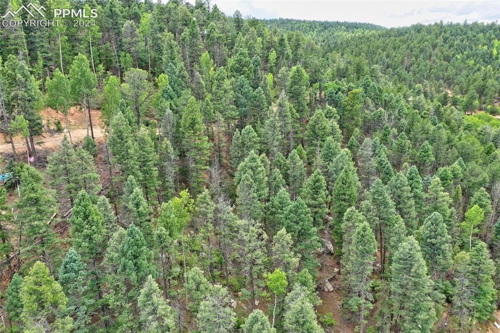 251 Osoeola Road, Woodland Park, CO 80863 — photo 3