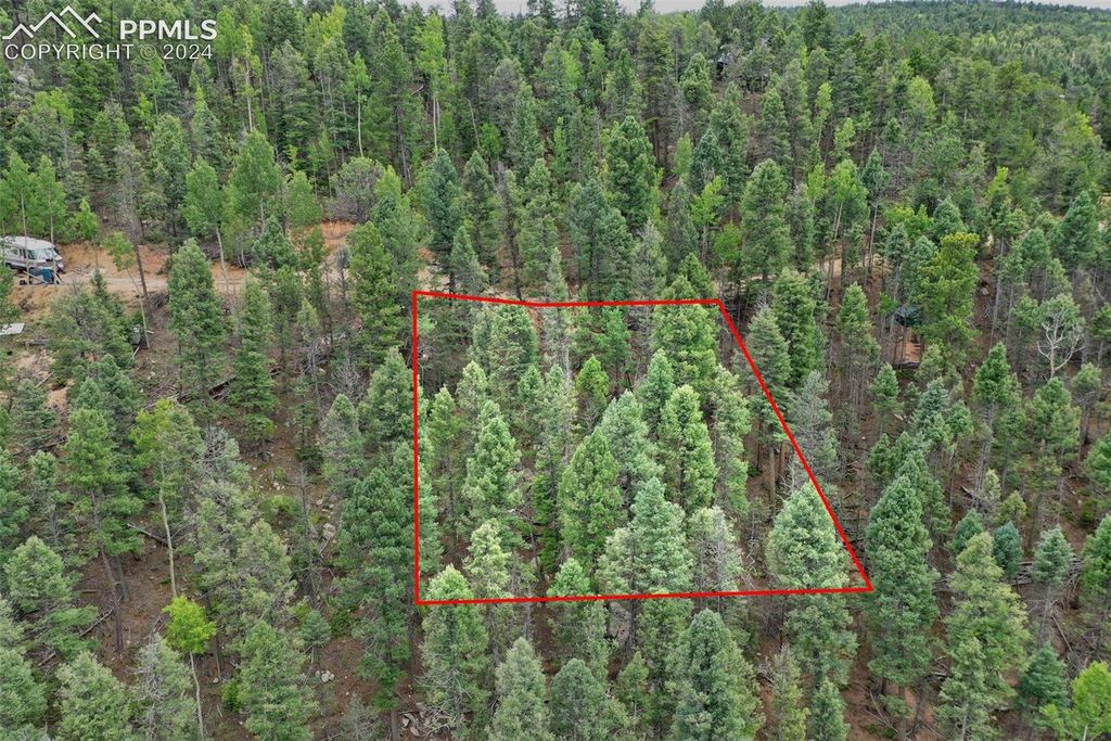 251 Osoeola Road, Woodland Park, CO 80863 — photo 4