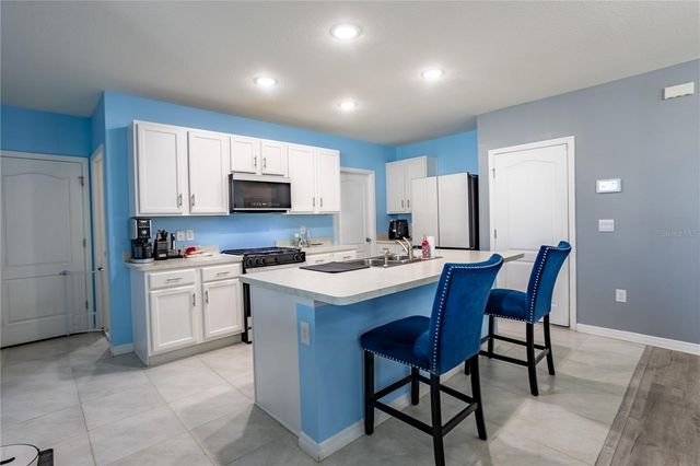 30422 PINTAIL DRIVE, Leesburg, FL 34748