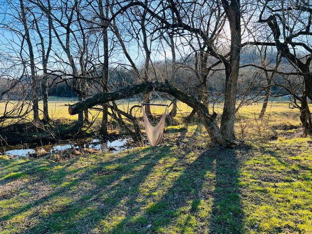286 Hawthorne Hill Rd, Shelbyville, TN 37160