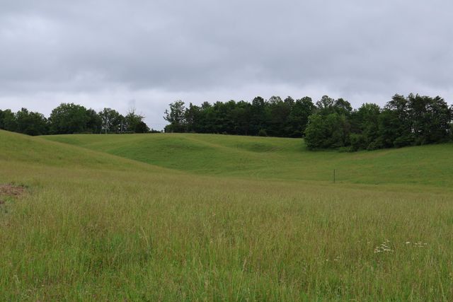 4135 Big Andy Ridge Road Tract 7, Rogers, KY 41365