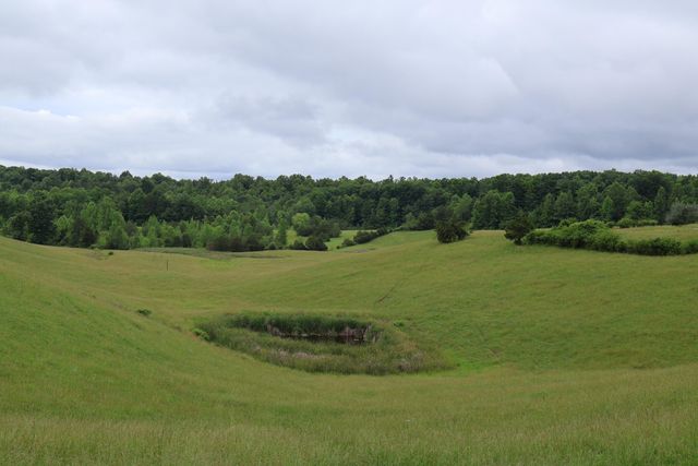 4135 Big Andy Ridge Road Tract 7, Rogers, KY 41365