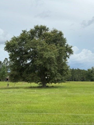 654 County Rd 21, Headland, AL 36345