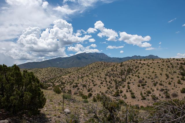 14c Camino Alto, Placitas, NM 87043