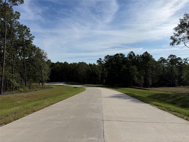 99 Pine Timber Dr, Willis, TX 77378