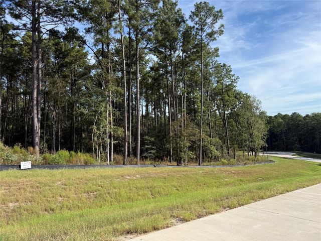 99 Pine Timber Dr, Willis, TX 77378