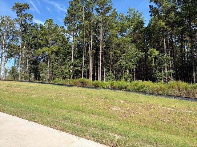 99 Pine Timber Dr, Willis, TX 77378