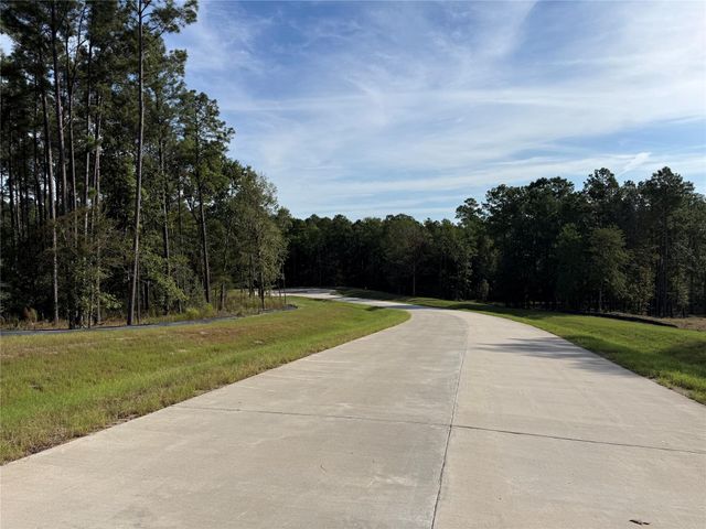 99 Pine Timber Dr, Willis, TX 77378
