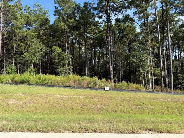 99 Pine Timber Dr, Willis, TX 77378