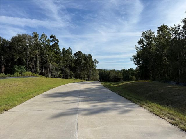 99 Pine Timber Dr, Willis, TX 77378