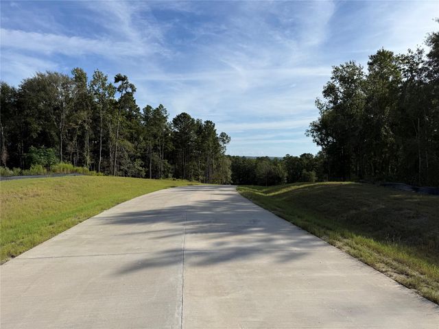 99 Pine Timber Dr, Willis, TX 77378