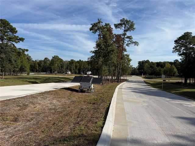 99 Pine Timber Dr, Willis, TX 77378