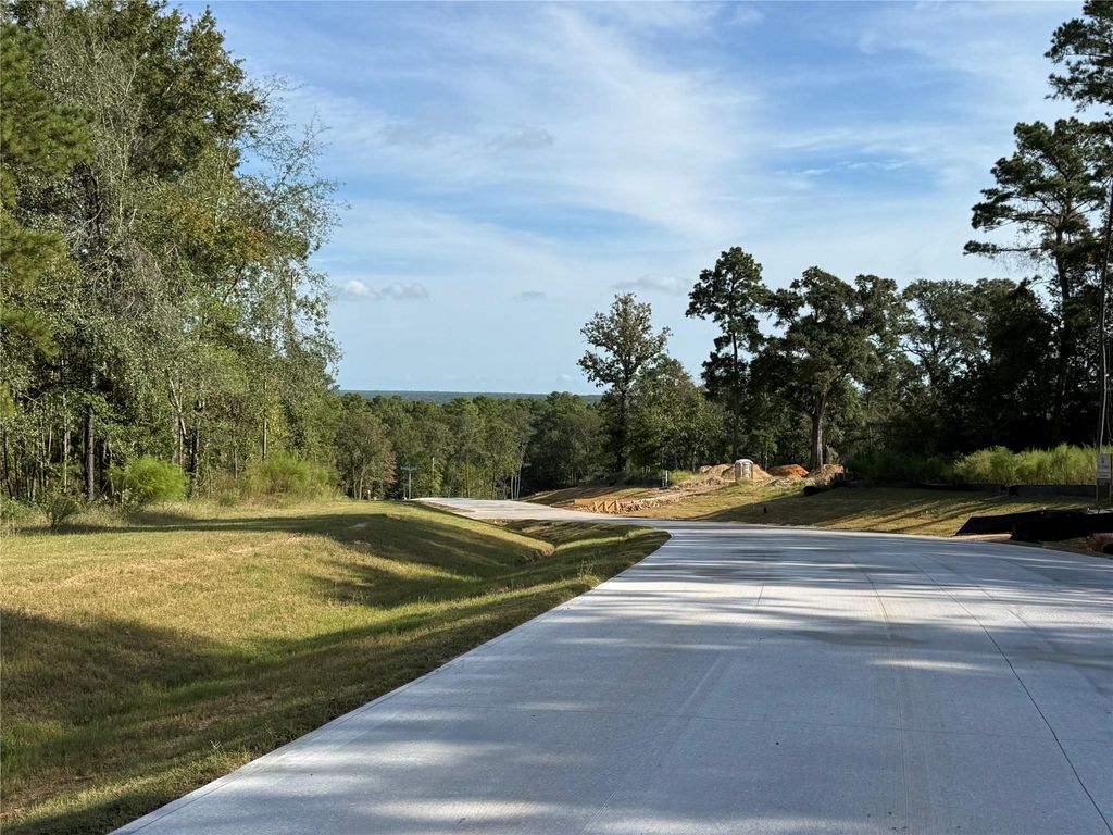 99 Pine Timber Dr, Willis, TX 77378