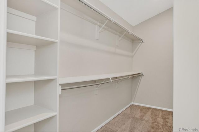 16049 Brooklime Court, Parker, CO 80134