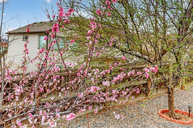 16049 Brooklime Court, Parker, CO 80134