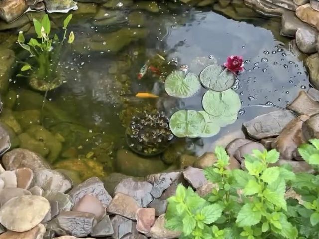 1198 SPAULDING ST, Staunton, VA 24401